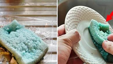 洗碗布上的細菌竟然比馬桶還髒？教你一招，遠離細菌簡單又實用