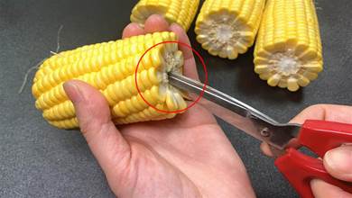 剛剛知道，原來玉米上有個小技巧，轉動玉米馬上散開，一剝一大盤