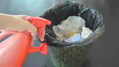 夏天垃圾桶常見小飛蟲，家政阿姨教我這樣應對，小飛蟲清理地乾乾淨淨