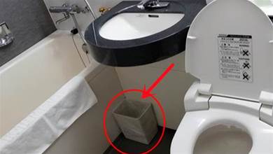 活了20多年才知道，上完廁所「廁紙」不能扔垃圾桶，別不當回事！