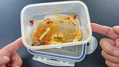 塑料飯盒滿是油污，怎麼洗都油膩膩？學會這招，洗的像新的一樣！