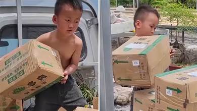 5歲男孩幫爸爸卸貨，一口氣搬34箱，累得滿頭大汗，網友怒贊：男孩就該這樣養!