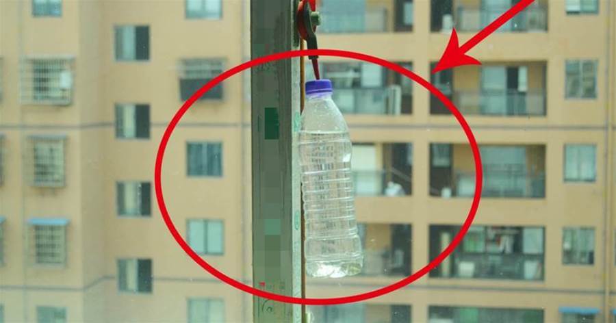 寶特瓶不要扔，裝點「水」掛在窗邊，作用真厲害，後悔沒有早知道