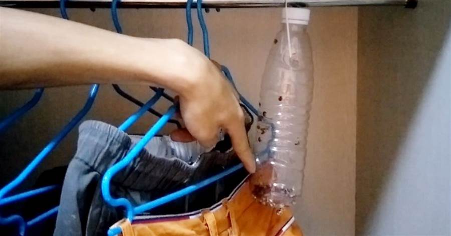 衣柜里掛一個塑料瓶，解決了家家戶戶的困擾，效果太棒了